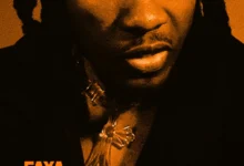 Article Wan – Faya