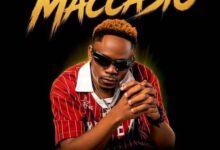 Maccasio – WAMA