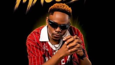 Maccasio – WAMA
